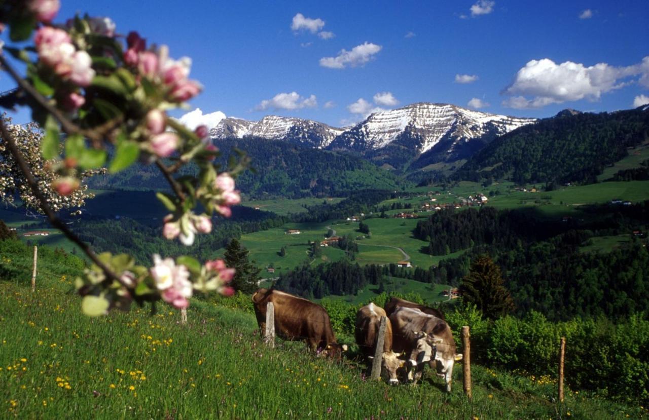 Fewo "Staufen Lodge" Oberstaufen Exterior foto